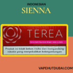 Indonesian Terea Sienna for IQOS ILUMA – Buy Original Terea Sienna in Dubai UAE