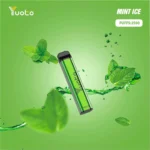 Yuoto XXL Mint Ice Disposable Vape (2500 Puffs)