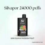 Silvaper 24000 Puffs Disposable Vape