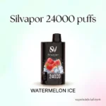 Silvaper 24000 Puffs Disposable Vape | 20mg Nicotine Salt