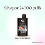 Silvaper 24000 Puffs Disposable Vape | 20mg Nicotine Salt